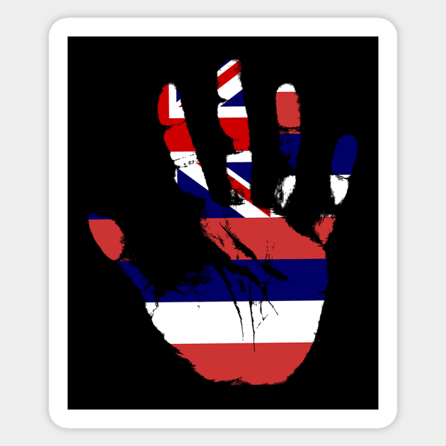 Hawaii Flag. Cool Hawiian Flag. Hawaii Surfer Sticker by Jakavonis